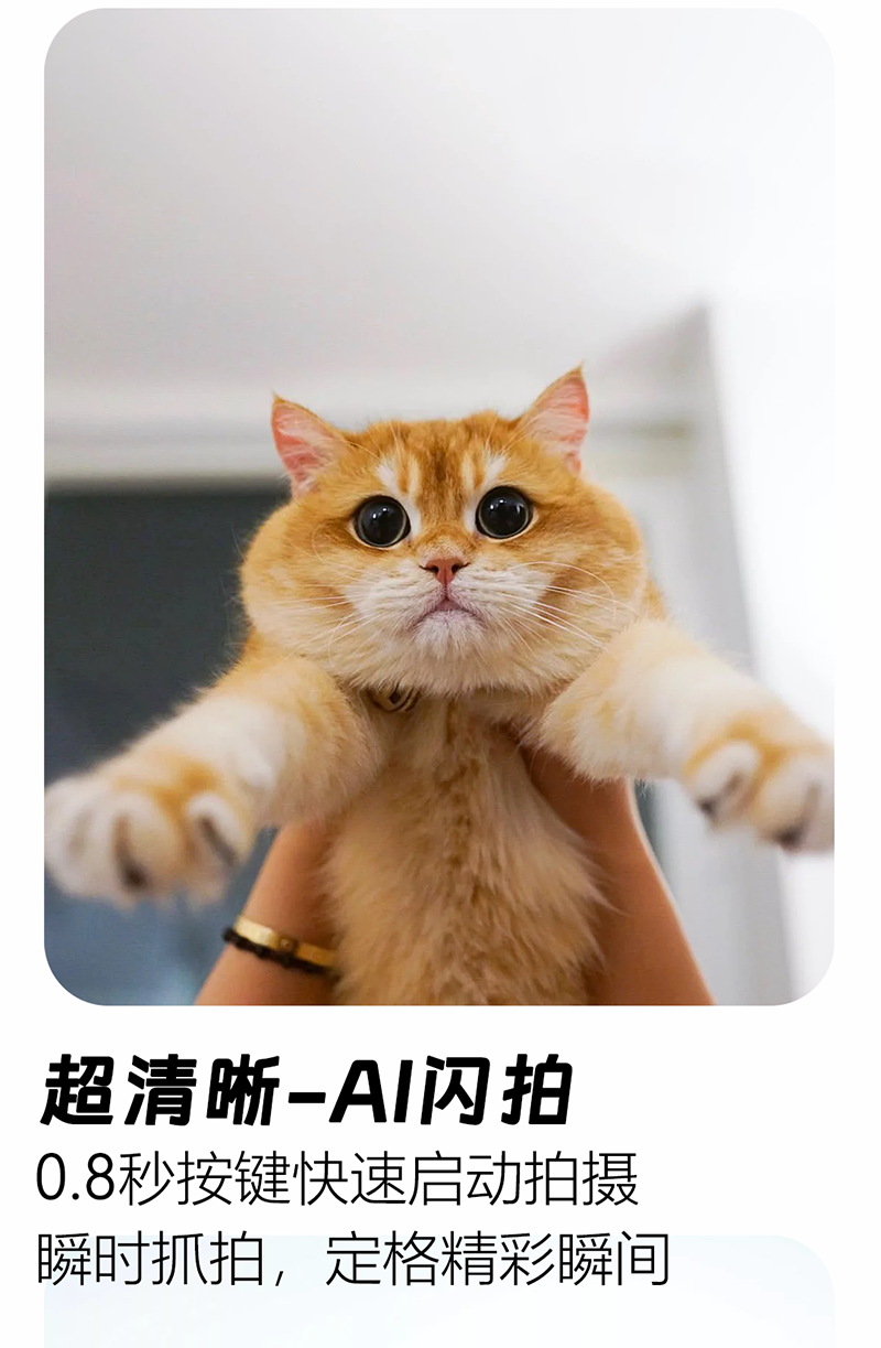 图层 7.png